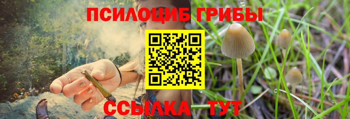 Псилоцибиновые грибы ЛСД  купить наркотик  Новодвинск  Вход с VPN 