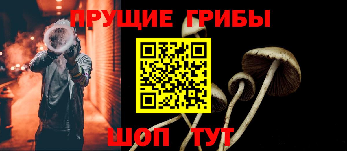 Псилоцибиновые грибы Cubensis Новодвинск